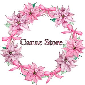 logo da empresa canae store